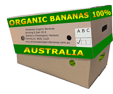 Buy Organic Bananas Wholesale