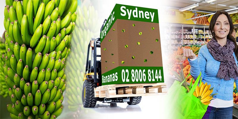 Organic Banana Wholesaler Turramurra Australia 02 8006 8144